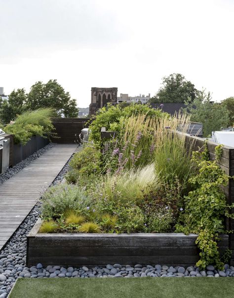 Ask the Expert: Roof Garden Basics with Designer Julie Farris - Gardenista Roof Garden Design, Rooftop Terrace Design, Rooftop Design, Meadow Garden, Pergola Design, Planting Plan, Magic Garden, Terrace Design, Rooftop Garden