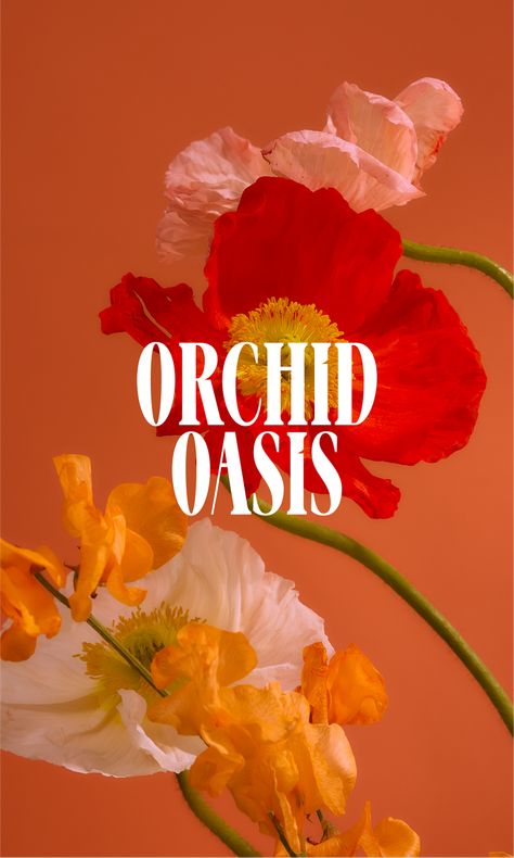 Orchid Oasis — Victoria Stefania | Logo & Brand Identity Designer | Sweden Orchid Branding, Identity Package, Types Of Work, Logo Brand Identity, Logo Design Creative, Logo Branding Identity, Nails Inspo, Design Creative, Visual Identity