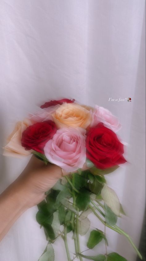 Fake Flowers Snap, Rose Snap Story, Ahmedabad Snap, Rose Snap, Flower Bokeh, Flowers Snap, Diy Fairy Door, Basic Aesthetic, File Decoration Ideas