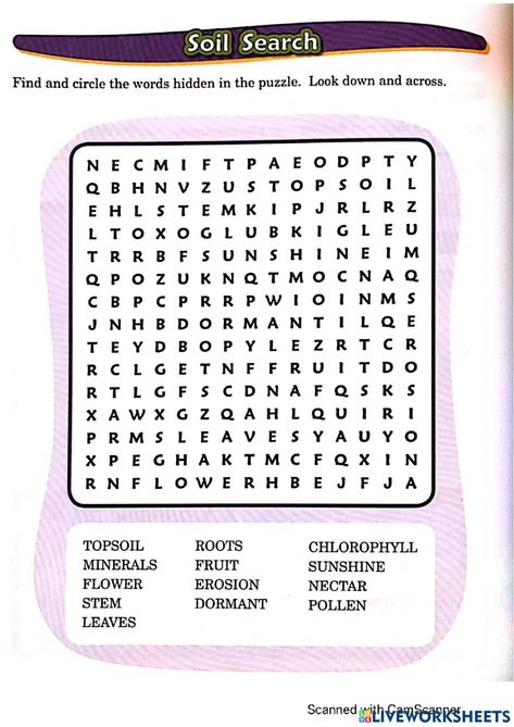 2nd Grade Worksheets, Soil Layers, Forgot My Password, Mind Map, The Soil, School Subjects, Types Of Soil, Google Classroom, Word Search