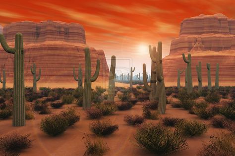 Big Render Arizona Desert  by ~PhotoGraphicdesign Desert Wallpaper Desktop, Scene Desktop Wallpaper, Cactus In Desert, Desert Wallpaper, Hd Desktop Wallpaper, Scene Wallpaper, Arizona Landscape, Scene Background, Desert Scene