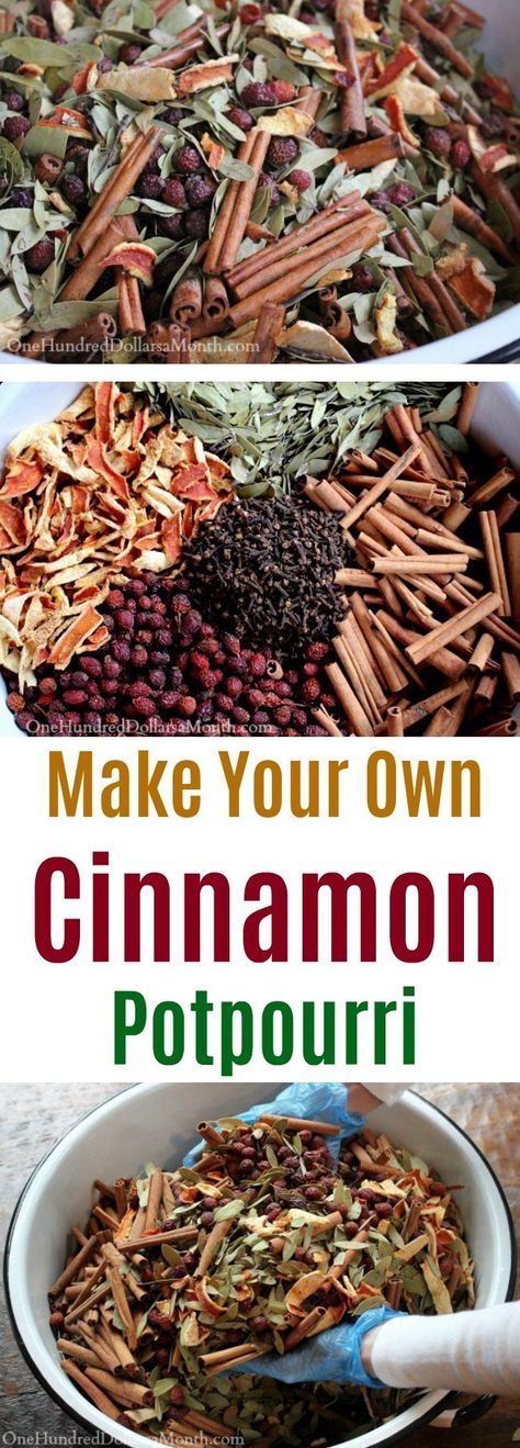 Make Your Own Cinnamon Potpourri - One Hundred Dollars a Month Cinnamon Stick Crafts, Cinnamon Crafts, Herb Crafts, Stove Potpourri, Potpourri Diy, Cinnamon Dough, Willow Crafts, Simmer Pots, Homemade Potpourri