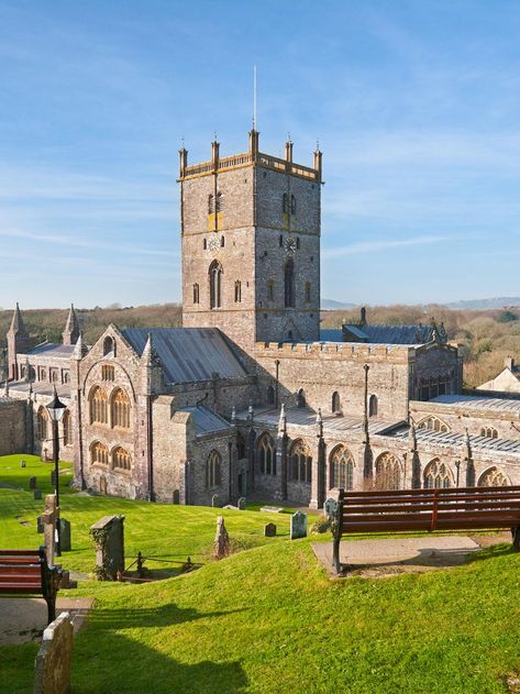 Five things to do in St Davids | Visit Wales St David, Pembrokeshire Wales, Open Air Theater, Saint David, Places In England, Visit Wales, Swansea, Camping Life, Boat Trips