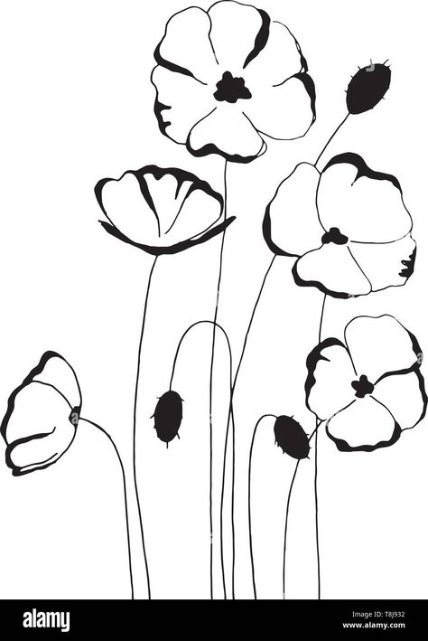 Drawing Keywords, Poppy Line Drawing, Line Drawing Simple, Poppy Flower Drawing, Poppy Coloring Page, Flower Simple, Crazy Tattoos, Poppy Drawing, Beautiful Flower Drawings