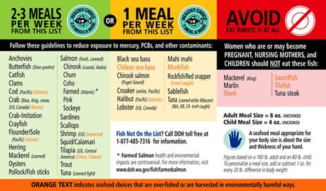 Fish Consumption - Mercury Toxicity in Fish Pescetarian Meals, Pescatarian Lifestyle, Fish Chart, Fish List, Pescatarian Diet, Beyond Diet, Nutrition Chart, All About Pregnancy, Pregnancy Diet