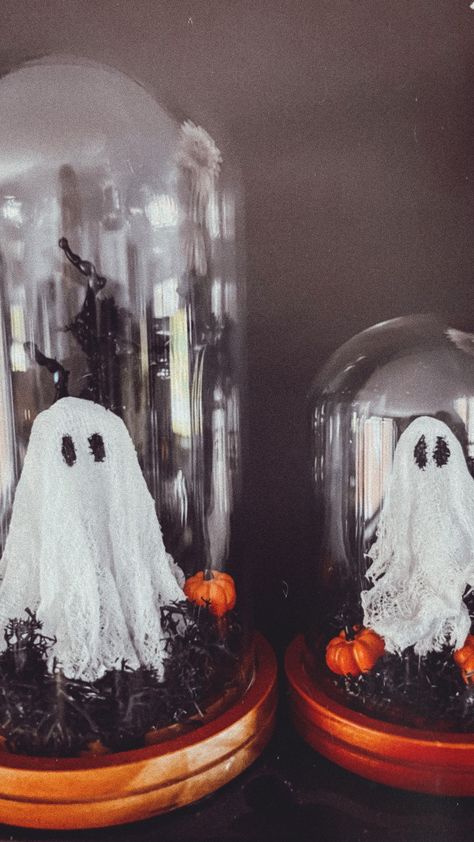 Another ghost DIY because you can never adopt enough ghosts.👻 the total cost for these ghosts & materials was $30. I am actually truly… | Instagram Diy Pet Ghost, Diy Adopt A Ghost, Adopt A Ghost Diy, Halloween Crafts For Adults Diy, Adopt A Ghost, Cloche Ideas, Spooky Dinner, Classroom Halloween, Ghost Diy