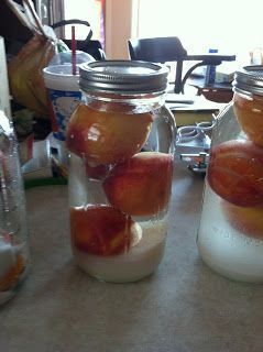 Homemade Liqueur Recipes, Brandy Recipe, Homemade Alcohol, Homemade Liquor, Liquor Recipes, Moonshine Recipes, Liqueurs Recipes, Homemade Wine, Homemade Drinks