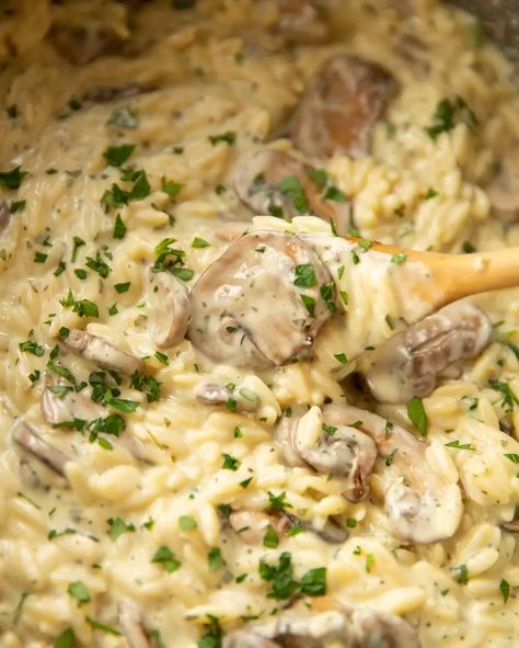 Orzo Mushroom, Orzo Recipes Side, Mushroom Orzo, One Pot Orzo, Orzo Pasta Recipes, Creamy Garlic Mushrooms, Mushroom Risotto Recipes, Chicken Risotto, Creamy Mushroom Pasta