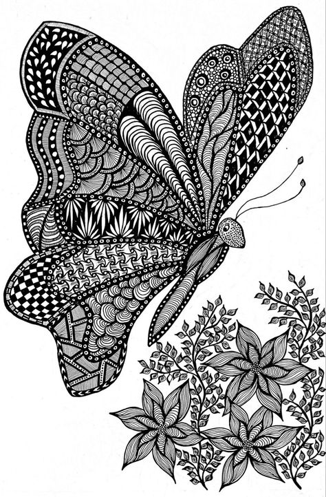 #zentangle #zentangleart #zentanglepatterns #zendoodle #zentangleinspiredart #butterfly
#ZentangleArt #PatternInspiration #MindfulCreativity #ZenDoodle Zentangle Art Butterfly, Zentangle Butterflies, Zentangle Butterfly, Zentangle Animals Art, Zentangle Animals, Butterfly Sketch, Pen Art Work, Butterfly Mandala, Zentangle Artwork