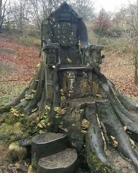 archaeology on Instagram: “A throne carved into a tree trunk in Kendal, England. It was sculpted by artist Andy Levy in 2012 with a chainsaw and chisel into the stump…” Tree Trunk Drawing, The Boogeyman, Tree Carving, Trendy Tree, Tree Stump, Album Design, Cumbria, Autumn Trees, Lake District