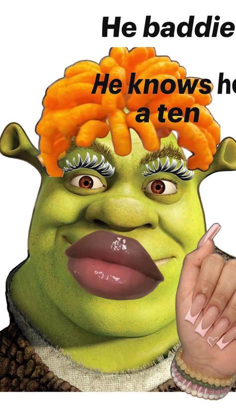 He a baddie he knows he’s a ten Silly Happy Birthday, Shrek Funny, Shrek Memes, Cute Minions, Funny Pix, Crazy Funny Pictures, Ice And Spice, Lamb Chops, Very Funny Pictures