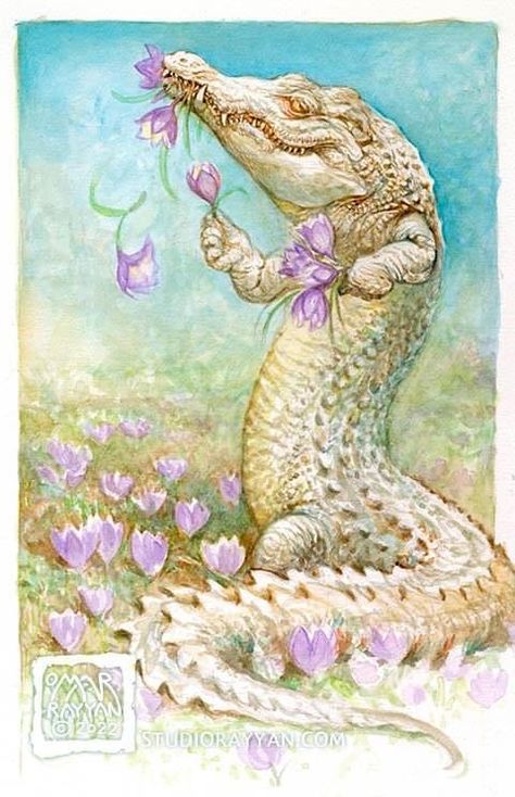 Omar Rayyan, Alligators Art, Funny Artwork, Animal Antics, Party Animals, Pet Rocks, Figure Drawing Reference, Nature Images, Funky Art