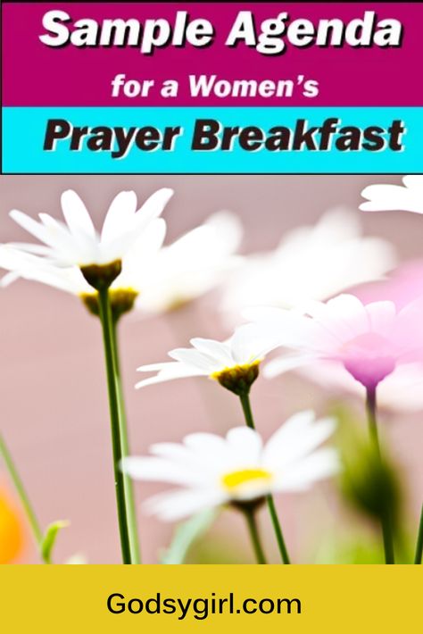 Planning a women's prayer breakfast?  Download a free sample agenda!  Remember, the best events are the ones best organized. Prayer Breakfast Ideas, Prayer Breakfast Program, Womens Retreat Themes, Christian Mentoring, Prayer Topics, Retreat Planning, Event Agenda, Sample Prayer, Adult Bullies