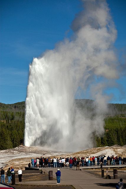 Old Faithful Geyser, Yellowstone National Park Old Faithful Geyser, Yellowstone Vacation, Yellowstone Trip, The Oregon Trail, Yellowstone Park, Old Faithful, Yellow Stone, Yellowstone National, Yellowstone National Park