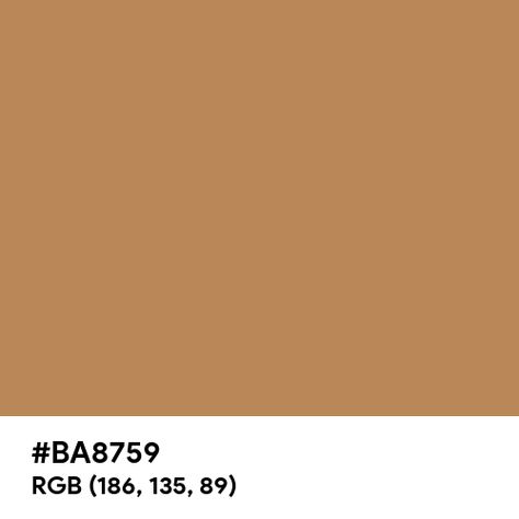 Deer color hex code is #BA8759 Deer Color Palette, Paint For Kitchen Walls, Split Complementary Colors, Split Complementary, Rgb Color Wheel, Rainbow Palette, Web Colors, Room Wall Painting, Kitchen Wall Colors