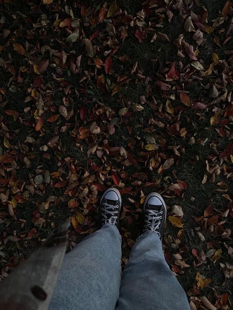 autumn leaves fall taylor swift flannel aesthetic Taylor Swift Flannel, Fall Taylor Swift, Flannel Aesthetic, Leaves Falling, Leaves Fall, Falling Down, Fall Vibes, Autumn Leaves, Taylor Swift