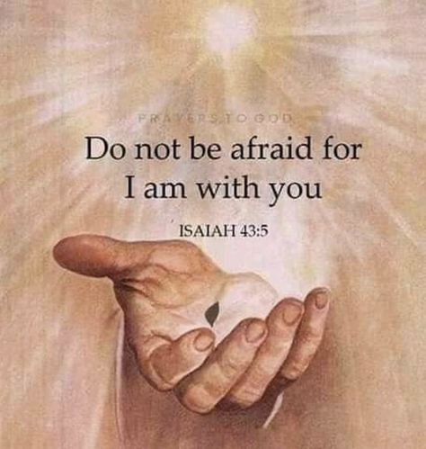 Isaiah 43:5 Christ Quotes, Bible Quotes Images, Ayat Alkitab, Blessed Quotes, Christian Bible Quotes, Inspirational Quotes God, Do Not Be Afraid, Bible Verses Quotes Inspirational, Bible Quotes Prayer