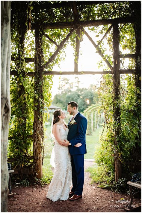 Crystal + Andrew: The Pond House – Hartford, CT Wedding Photographer Pond House Cafe Wedding, Cafe Wedding, Perennial Gardens, Pond House, House Cafe, Cafe House, Hartford Ct, Dress Cake, Allure Bridal