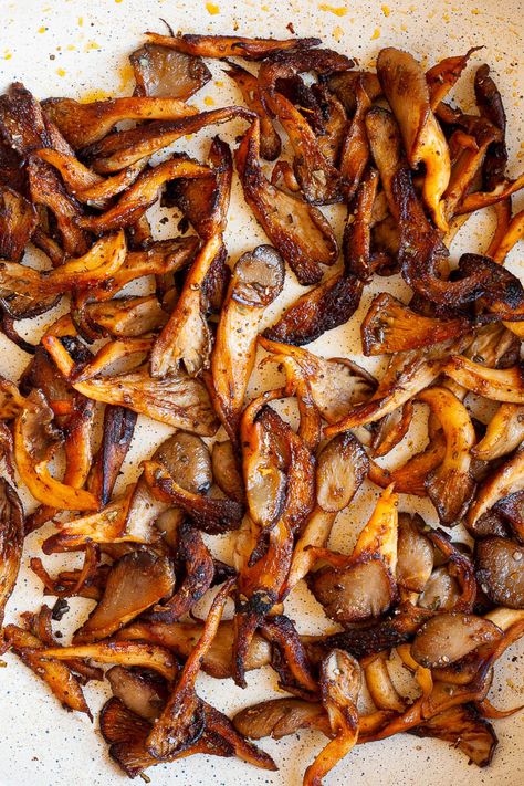 Oyster mushrooms are one of the most popular types of mushrooms out there. Prepared properly, these 'shrooms can be a great addition to any meal, party spread, or even a stand-alone tasty snack. This article is just one part of our complete guide that aims to help you learn how to prepare oyster mushrooms for cooking. Smoked Oyster Mushrooms, How To Prepare Oyster Mushrooms, Elm Oyster Mushroom Recipe, How To Preserve Oyster Mushrooms, Marinated Oyster Mushrooms, Cooking Oyster Mushrooms, How To Cook Oyster Mushrooms, Blue Oyster Mushrooms Recipes, Oyster Mushrooms Recipes