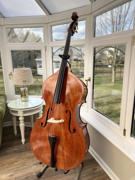 Bass Orchestra Aesthetic, Upright Bass Aesthetic, Double Bass Aesthetic, Double Bass Art, Bass Orchestra, Cello Instrument, Bass Instrument, Bass Violin, Bass Cello