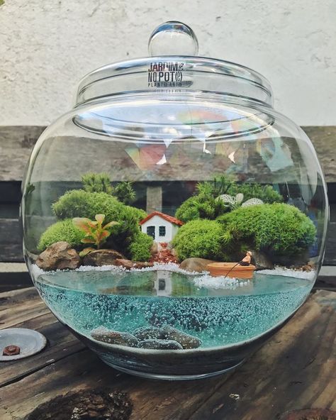 This Company Makes Incredible Micro Ecosystems In Pots And You Will Definitely Want One In Your Home Terrarium Scene, Terrariums Diy, Taman Air, Beautiful Terrariums, Mini Terrarium, Fairy Garden Designs, Garden Terrarium, Terrarium Diy, Mini Succulents