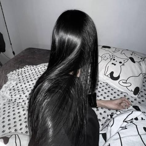 Black Hair Pale Skin, Silky Black Hair, Long Straight Black Hair, Shiny Black Hair, Silky Shiny Hair, Hair Pale Skin, Sacha Inchi, Black Hair Aesthetic, Straight Black Hair