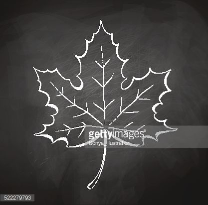 Maple leaf Fall Leaf Chalk Art, Draw Maple Leaf, Draw Maple Leaf Easy, Maple Leaf Silhouette, Maple Leaf Line Art, Maple Leaf Drawing, Bar Chalkboard, Chalkboard Calendar, Chalkboard Drawings