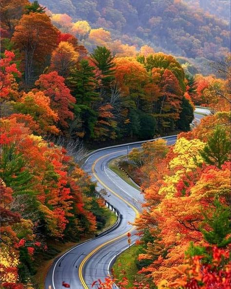 Blue Ridge Parkway Fall, Blue Ridge Mountains Virginia, North Carolina Photography, Blue Ridge Parkway North Carolina, Puzzle Ideas, World Wonders, Chill Guy, City Love, Are We There Yet