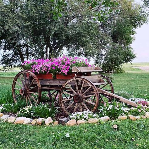 The Top 75 Flower Bed Ideas - Next Luxury Wagon Landscaping Ideas, Vintage Flower Pots Outdoor, Farm Landscaping Ideas Country Living, Antique Farm Equipment Landscape, Antique Flower Bed Ideas, Rustic Yard Decor Landscaping Ideas, Old Wagon Garden Ideas, Old Truck Flower Bed, Country Flower Beds