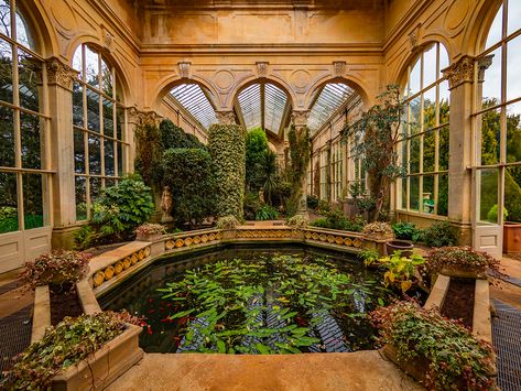 Victorian Orangery | Ian Bentley | Flickr Victorian Conservatory, Victorian Greenhouse, Victorian Greenhouses, Custom Closet Organization, Greenhouse Interiors, Victorian Buildings, Victorian Garden, Victorian Mansions, Storage Systems