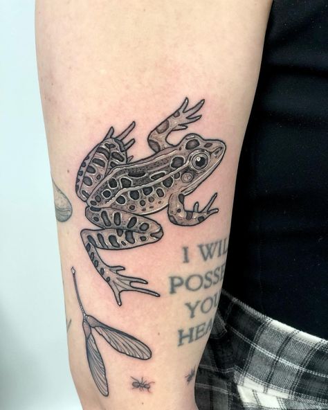 Tattoo Ideas Skull, Frog Tattoo Ideas, Wings Tattoo Meaning, Cool Frog, Tree Frog Tattoos, Kitten Tattoo, Ufo Tattoo, Frog Tattoo, Flower Tattoo Meanings