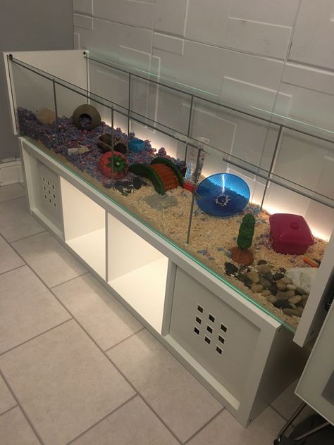 Ikea detolf hamster cage Ikea Detolf Hamster Cage, Detolf Hamster Cage, Hamster Cage Setup Ideas, Big Hamster Cages, Ikea Detolf, Cool Hamster Cages, Cage Hamster, Mouse Cage, Hamster Life