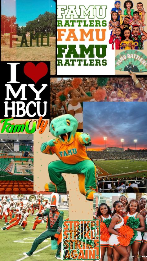 Famu College, Hbcu Colleges, Black Ivy, College Acceptance, College Vision Board, Dream College, Top Colleges, Dream School, The Ivy