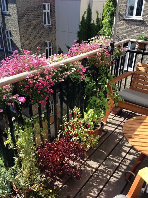 Flower Balcony Aesthetic, Small Balcony Flower Ideas, Apartment Balcony Plants, Small Balcony Inspiration, Balcony Flowers Ideas, Balcony Garden Aesthetic, Balcony Aesthetic, Balcony Railing Planters, Tiny Balcony