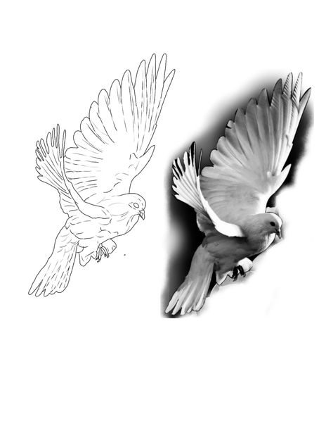 Dove Tattoo Stencil, Realism Stencil, Dove Tattoo Men, Dove Stencil, Arm Tattoos Lettering, Tattoo Wings, Animal Stencils, Bio Organic Tattoo, Dove Tattoo Design