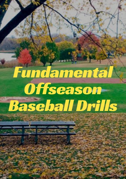 Off Season Baseball Workout, Baseball Off Season Workouts, Baseball Coaching, Baseball Boyfriend, Baseball Memes, Softball Practice, Baseball Workouts, Baseball Tattoos, Game Day Quotes