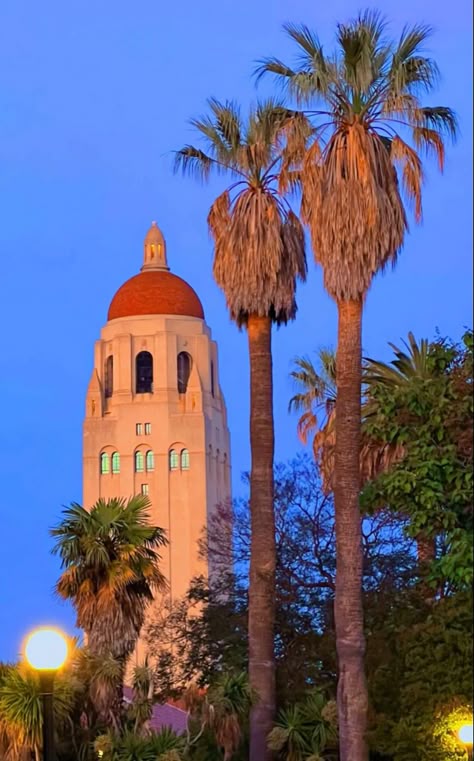 Hoover Tower Stanford Acceptance Letter, Silicon Valley Aesthetic, Stanford University Aesthetic, Stanford Aesthetic, Stanford Graduation, Stanford University Campus, University Inspiration, Stanford Law, Dream Studies