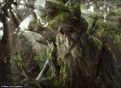 Treebeard (Ent) From Lord of the Rings Tree People, Into The West, Tree Spirit, The Two Towers, The Secret Garden, Jrr Tolkien, Legolas, Green Lantern, Middle Earth