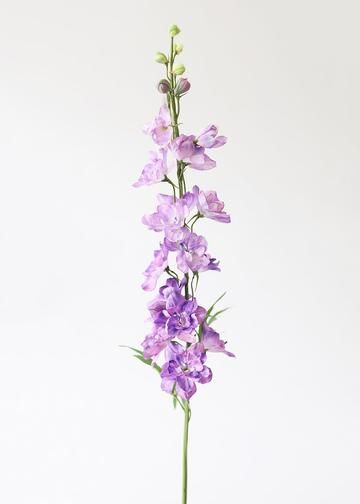 Larkspur Flower Aesthetic, Lavender Larkspur, Larkspur Tattoo, Lavender Ombre, Flowers And Vases, Flowers Lily, Larkspur Flower, Flower Calendar, Delphinium Flowers