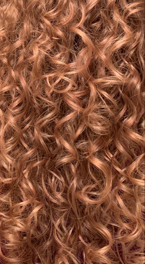 Blonde Red Curly Hair, Curly Hair Dye Ideas Ginger, Copper Blonde Hair Curly, Strawberry Blonde On Curly Hair, Naturally Curly Strawberry Blonde Hair, Honey Colored Curly Hair, Natural Red Highlights In Brown Hair Curly, Strawberry Blonde Hair Curly Natural, Curly Hair Color Ideas Brown