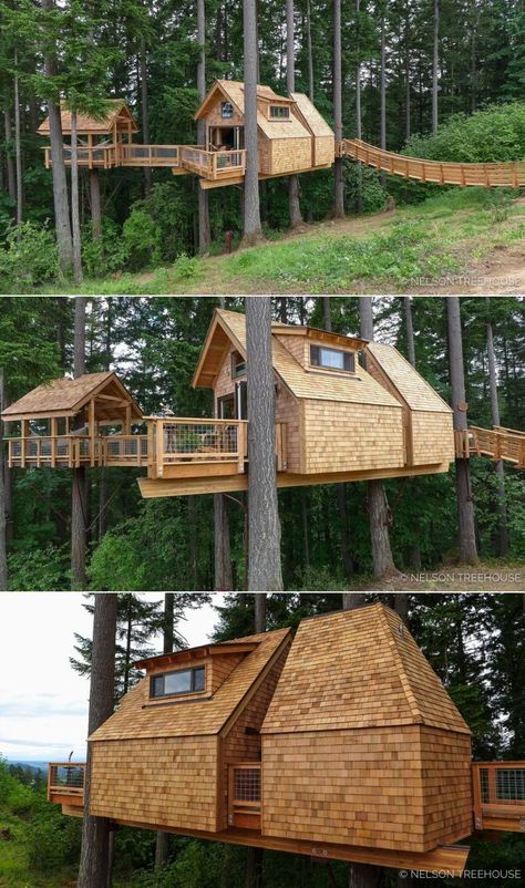 Treehouse With Deck, Modern Treehouse, Treehouse On Stilts, Multi Level Treehouse, Treehouse Connected To House, Treehouse Platform Simple, Treehouse Masters Pete Nelson Tree Houses, Tree Deck, Luxury Tree Houses