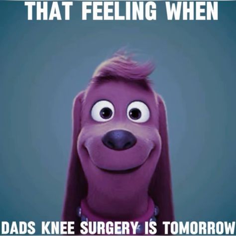 That Feeling When Surgery, The Feeling When Knee Surgery, That Feeling When Knee Surgery Is Tomorrow, When Knee Surgery Is Tomorrow, Knee Surgery Memes Humor, That Feeling When Knee Surgery Tomorrow, That Feeling When Knee Surgery, Knee Surgery Humor, Surgery Humor