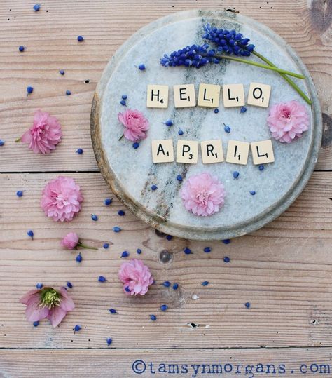 April Wallpaper Aesthetic, Spring Wallpaper Iphone, April Images, Aesthetic Spring Wallpaper, Floral Flatlay, April Aesthetic, April Wallpaper, Spring Chalkboard, Frühling Wallpaper