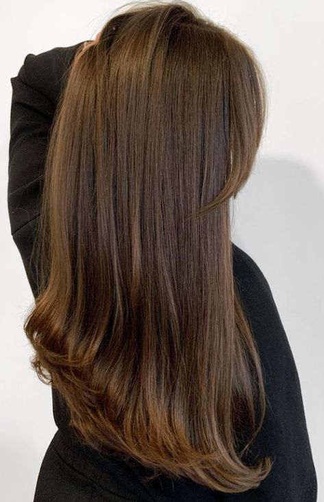 Glossy Brunette Hair, Glossy Brunette, Light Brunette, Bronze Hair, Demi Permanent, Permanent Hair Color, Light Brown Hair, Brown Hair Colors, Brunette Hair