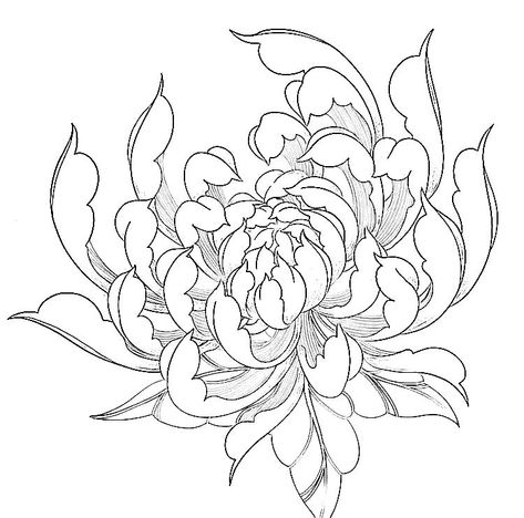 Japanese Flower Stencil, Neotrad Chrysanthemum, Chrysanthemum Tattoo Outline, Japanese Chrysanthemum Drawing, Chrysanthemum Stencil, Crisantemo Tattoo, Chrysanthemum Drawing, Floral Mandala Tattoo, Mandala Hand Tattoos