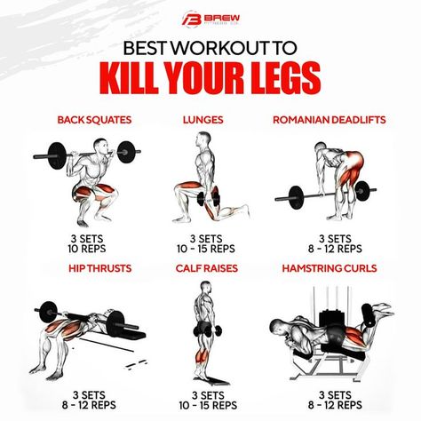 There should be no excuse to skip the leg day. Feel the burn in your legs with this particular workout. Then, share in the comments below how you fared against this leg day. #brewfitnessco #homegym #freeweights #yogaequipment #trainingaccessories #sportswear #gymequipment #gymmotivation Heavy Leg Workout, Legs And Shoulders Workout Gym, Leg Day Workout At The Gym, Bigger Legs Workout, Leg Workouts For Men, Full Leg Workout, Leg Day Workout, Leg Workouts Gym, Workout Gym Routine