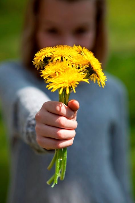 KIND OF ART: Painting with dandelions - RESIDENTIAL PROJECT - Living blog for interior, DIY and lifestyle Holding Dandelion, Painting Instructions, Flowers Drawing, Paint Flowers, Best Teeth Whitening, Draw And Paint, African Violet, Baby's Breath, Ranunculus