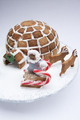 Gingerbread Igloo by raspberri cupcakes, via Flickr Gingerbread Igloo, Cool Gingerbread Houses, Gingerbread House Parties, Gingerbread House Designs, Gingerbread House Cookies, Gingerbread Party, Gingerbread Village, Cookie House, Gingerbread House Decorations