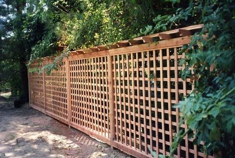 17 Lattice Fence Ideas For Your Yard Lattice Fencing Ideas, Lattice Fence Ideas, Lattice Fence Panels, Lattice Fence, Fence Ideas, Skylark, Fence Gate, Fence Design, Backyard Landscaping Designs