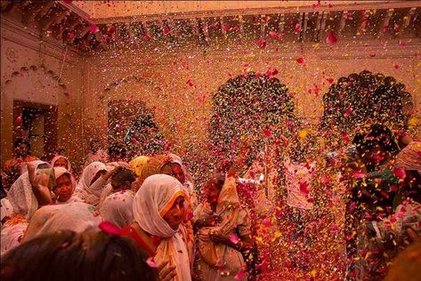 India Core, Rejected Princesses, Indian Celebration, Flower Pedals, Holi Photo, Festival Aesthetic, Happy Eyes, Holi Colors, Asian Aesthetic